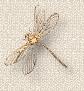 http://marinetteweb.do.am/goldglitter/dragonflybullet.jpg